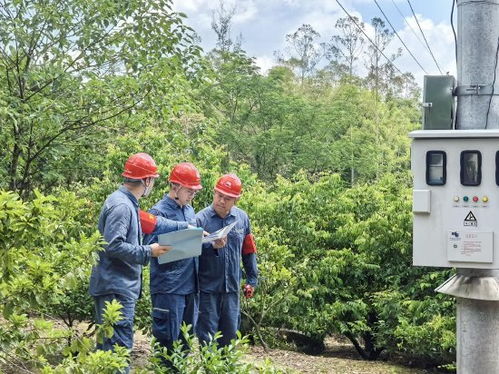 为群山织网 南方电网广东惠州供电局山区电网升级照亮乡村高质量发展之路